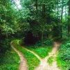 quel chemin