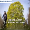 Larbre objet du roman national