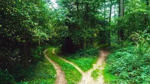 quel chemin