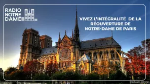 Notre-Dame de Paris - DR/Daniel Antoine