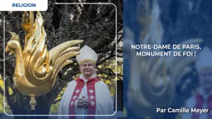Coq de Notre-Dame - Morissard Aurelien/ABACA