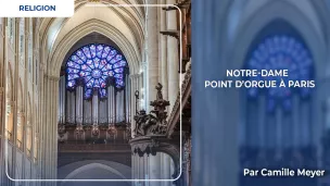 Notre-Dame de Paris et son orgue - Petit Tesson Christophe - Pool - ABACA