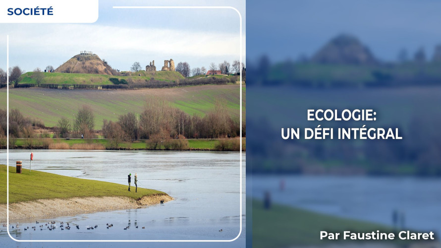 Ecologie un defi integral